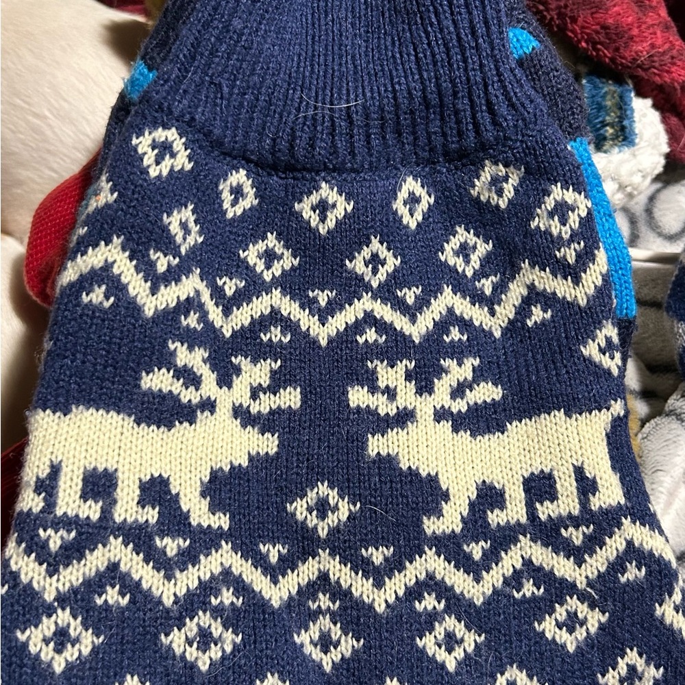 Assorted small dog clothes 5 different outfits